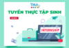 TMA tuyển thực tập sinh