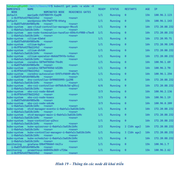 Khai triển và giám sát một hệ thống ứng dụngđơn giản trên nền tảng Kubernetes sử dụng AWS 11 image 23